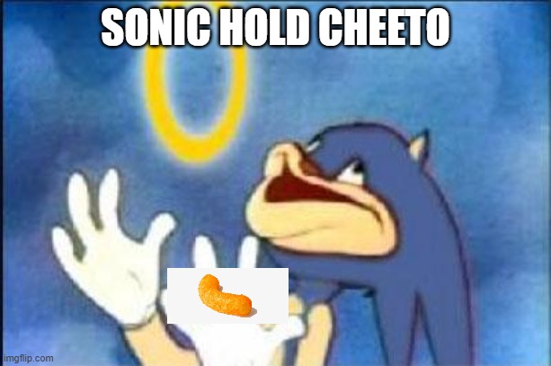 CHEETO AMOGUS | SONIC HOLD CHEETO | image tagged in sonic derp | made w/ Imgflip meme maker