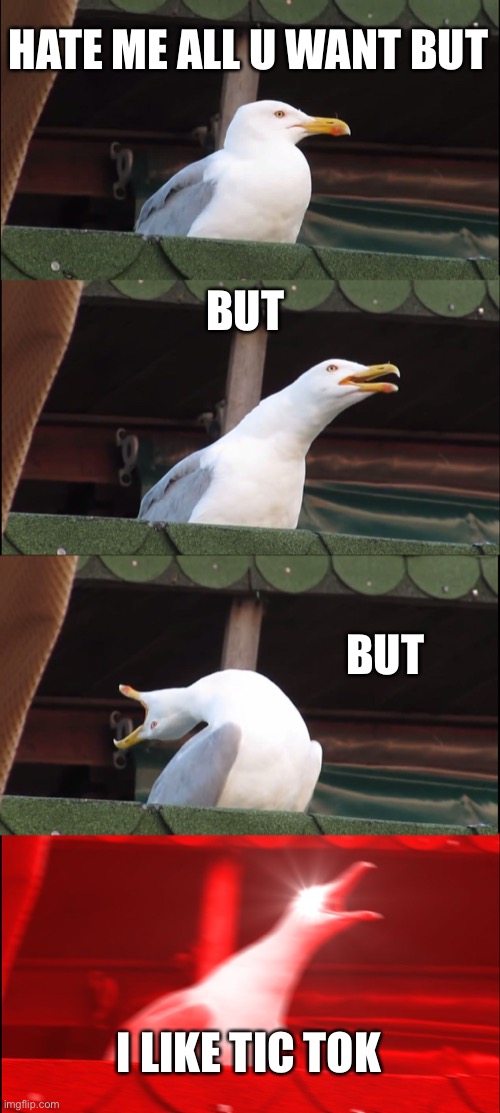 Inhaling Seagull Meme | HATE ME ALL U WANT BUT; BUT; BUT; I LIKE TIC TOK | image tagged in memes,inhaling seagull | made w/ Imgflip meme maker