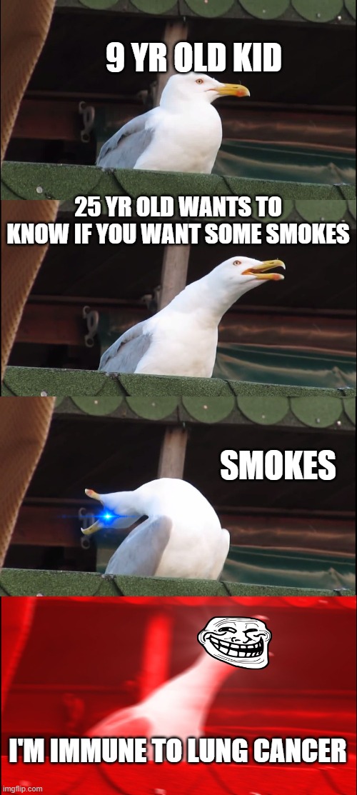 Inhaling Seagull | 9 YR OLD KID; 25 YR OLD WANTS TO KNOW IF YOU WANT SOME SMOKES; SMOKES; I'M IMMUNE TO LUNG CANCER | image tagged in memes,inhaling seagull | made w/ Imgflip meme maker