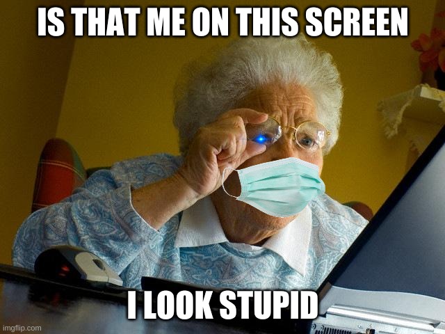 Grandma Finds The Internet | IS THAT ME ON THIS SCREEN; I LOOK STUPID | image tagged in grandma finds the internet,wow | made w/ Imgflip meme maker