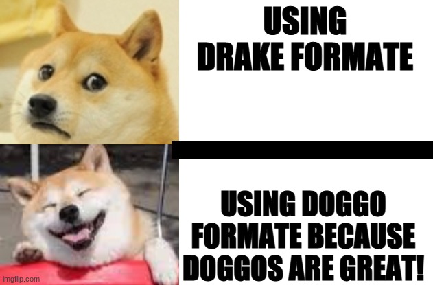 Doggo Hotline Bing | USING DRAKE FORMATE; USING DOGGO FORMATE BECAUSE DOGGOS ARE GREAT! | image tagged in doggo hotline bing | made w/ Imgflip meme maker