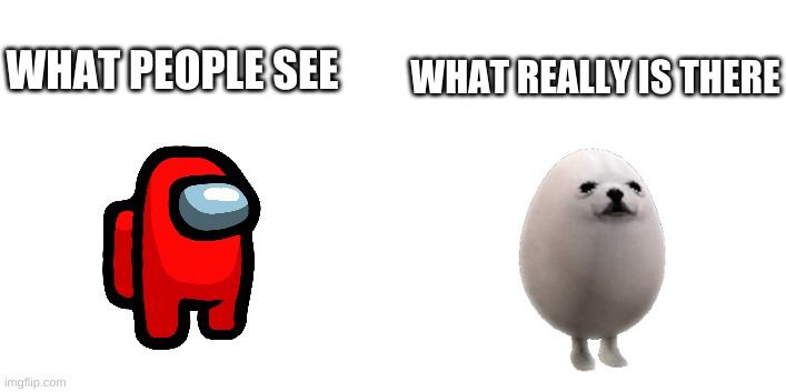 eggdog | WHAT REALLY IS THERE; WHAT PEOPLE SEE | image tagged in among us,meme,fun | made w/ Imgflip meme maker