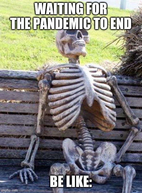 The end is near.......i think.... | WAITING FOR THE PANDEMIC TO END; BE LIKE: | image tagged in memes,waiting skeleton | made w/ Imgflip meme maker