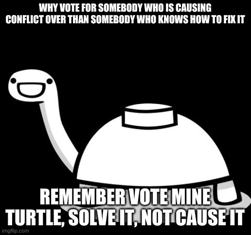 mine_turtle HOC! | WHY VOTE FOR SOMEBODY WHO IS CAUSING CONFLICT OVER THAN SOMEBODY WHO KNOWS HOW TO FIX IT; REMEMBER VOTE MINE TURTLE, SOLVE IT, NOT CAUSE IT | image tagged in mine turtle hello | made w/ Imgflip meme maker