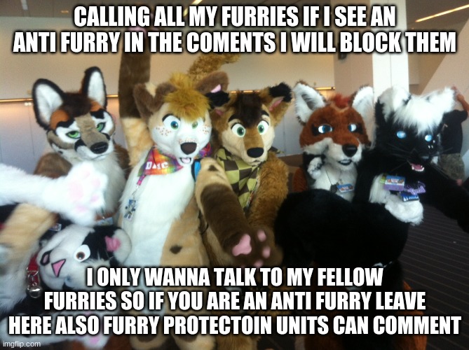 Furries | CALLING ALL MY FURRIES IF I SEE AN ANTI FURRY IN THE COMENTS I WILL BLOCK THEM; I ONLY WANNA TALK TO MY FELLOW FURRIES SO IF YOU ARE AN ANTI FURRY LEAVE HERE ALSO FURRY PROTECTOIN UNITS CAN COMMENT | image tagged in furries | made w/ Imgflip meme maker