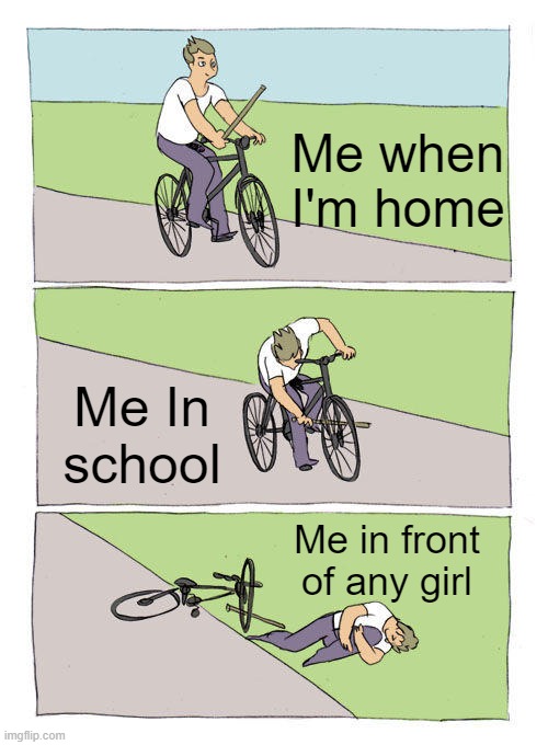 Rip | Me when I'm home; Me In school; Me in front of any girl | image tagged in memes,bike fall | made w/ Imgflip meme maker