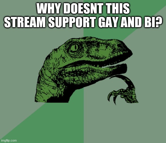 Why? | WHY DOESNT THIS STREAM SUPPORT GAY AND BI? | image tagged in dino think dinossauro pensador | made w/ Imgflip meme maker