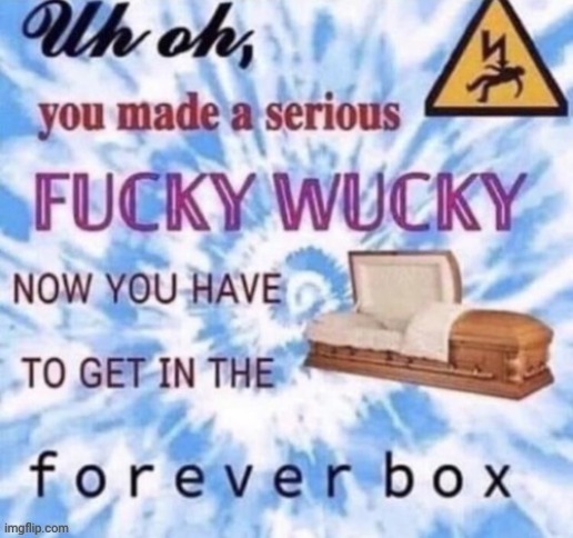 The forever box | image tagged in the forever box | made w/ Imgflip meme maker