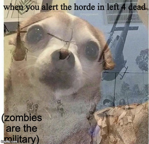 dont shoot that car | when you alert the horde in left 4 dead; (zombies are the military) | image tagged in ptsd chihuahua | made w/ Imgflip meme maker