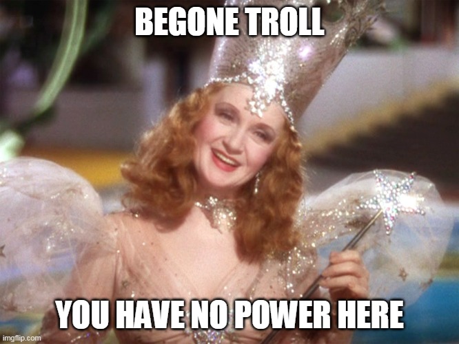 Glinda good witch wizard of oz | BEGONE TROLL YOU HAVE NO POWER HERE | image tagged in glinda good witch wizard of oz | made w/ Imgflip meme maker