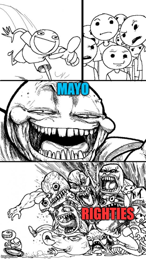 whos the snowflake now | MAYO; RIGHTIES | image tagged in memes,hey internet | made w/ Imgflip meme maker