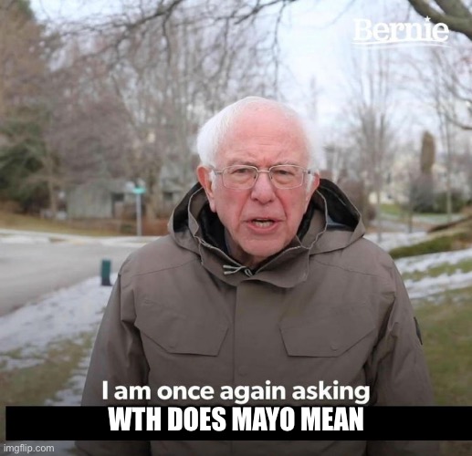 Bernie | WTH DOES MAYO MEAN | image tagged in bernie | made w/ Imgflip meme maker