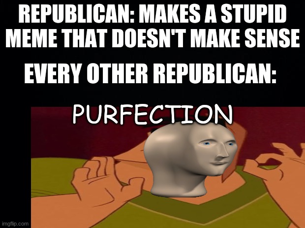 stupid | REPUBLICAN: MAKES A STUPID MEME THAT DOESN'T MAKE SENSE; EVERY OTHER REPUBLICAN:; PURFECTION | made w/ Imgflip meme maker