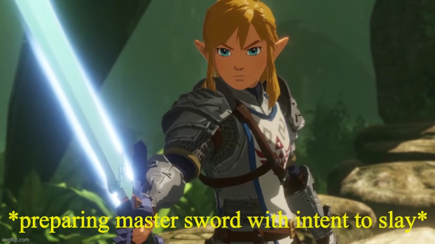 *preparing master sword with intent to slay* | made w/ Imgflip meme maker