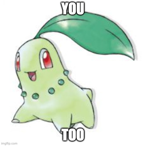 Chikorita | YOU TOO | image tagged in chikorita | made w/ Imgflip meme maker