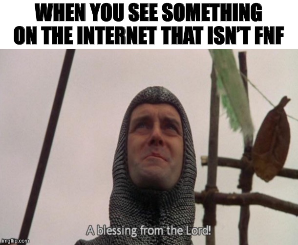 A blessing from the lord | WHEN YOU SEE SOMETHING ON THE INTERNET THAT ISN’T FNF | image tagged in a blessing from the lord,fnf | made w/ Imgflip meme maker