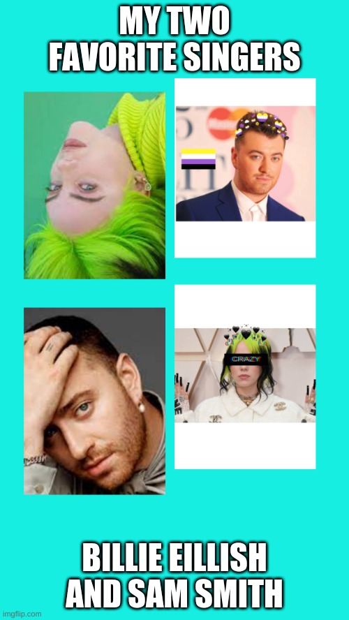 Favorite singers | MY TWO FAVORITE SINGERS; BILLIE EILLISH AND SAM SMITH | image tagged in image | made w/ Imgflip meme maker