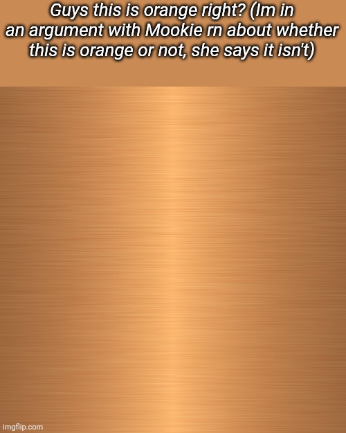 Guys this is orange right? (Im in an argument with Mookie rn about whether this is orange or not, she says it isn't) | made w/ Imgflip meme maker