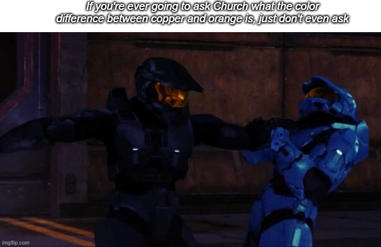 HE IS LITERALLY COLOR BLIND | If you're ever going to ask Church what the color difference between copper and orange is, just don't even ask | image tagged in tex hitting church | made w/ Imgflip meme maker