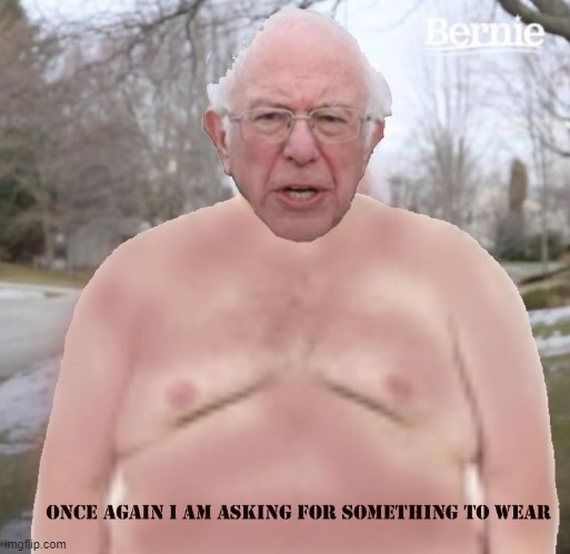 bernie freezing | image tagged in fun | made w/ Imgflip meme maker