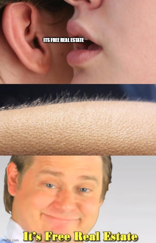 ITS FREE REAL ESTATE | image tagged in whisper and goosebumps | made w/ Imgflip meme maker