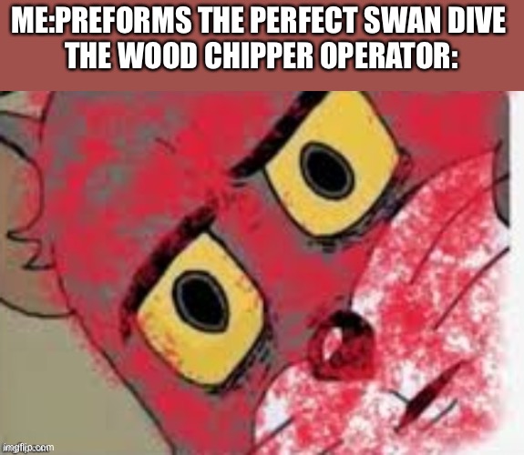 10/10 swan dive | ME:PREFORMS THE PERFECT SWAN DIVE 
THE WOOD CHIPPER OPERATOR: | image tagged in memes,funny,unsettled tom,kinda dark,oh wow are you actually reading these tags,loser | made w/ Imgflip meme maker