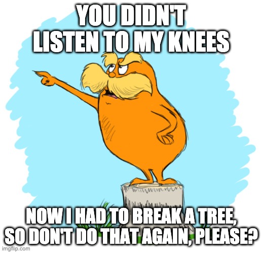 The lorax | YOU DIDN'T LISTEN TO MY KNEES NOW I HAD TO BREAK A TREE, SO DON'T DO THAT AGAIN, PLEASE? | image tagged in the lorax | made w/ Imgflip meme maker
