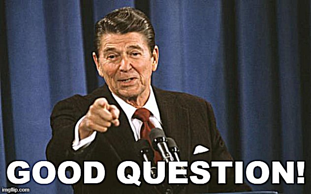 Ronald Reagan Good Question | image tagged in ronald reagan good question | made w/ Imgflip meme maker