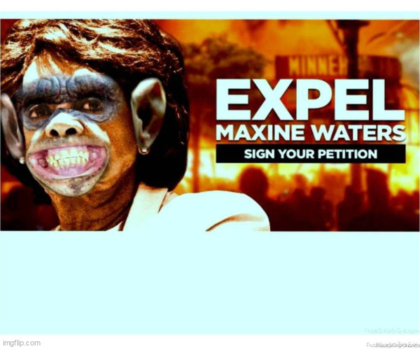 Low IQ Mad Maxine Watters | image tagged in maxine watters,democrats,comunists,libtards,antifa,blm | made w/ Imgflip meme maker