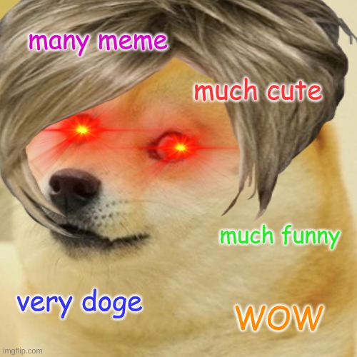 doge meme | many meme; much cute; much funny; very doge; WOW | image tagged in lol so funny | made w/ Imgflip meme maker