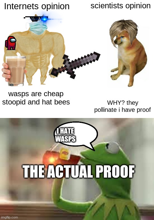 unjust to keep wasp | Internets opinion; scientists opinion; wasps are cheap stoopid and hat bees; WHY? they pollinate i have proof; I HATE WASPS; THE ACTUAL PROOF | image tagged in memes,buff doge vs cheems | made w/ Imgflip meme maker
