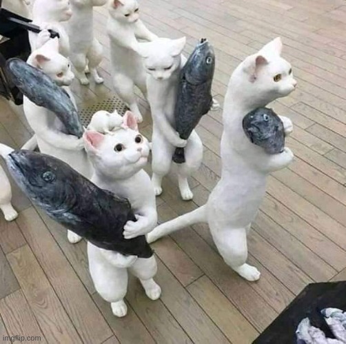 behold the cat army | made w/ Imgflip meme maker