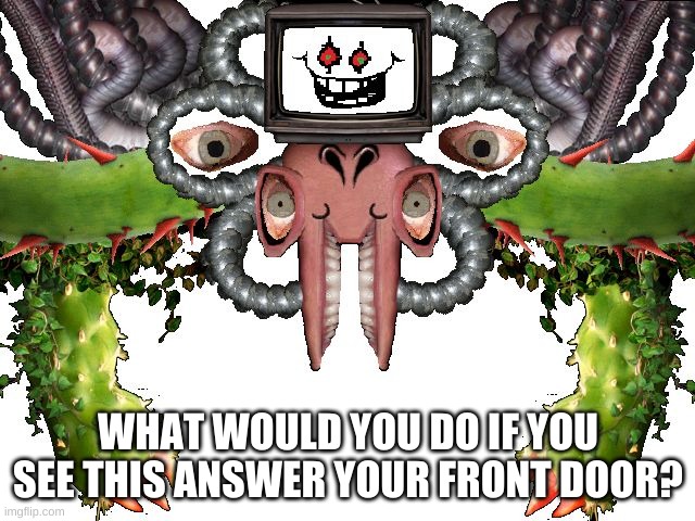 welp- | WHAT WOULD YOU DO IF YOU SEE THIS ANSWER YOUR FRONT DOOR? | image tagged in memes,omega flowey | made w/ Imgflip meme maker