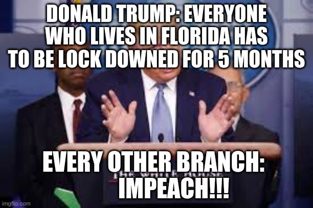 When Donald Trump Lockdowns everyone in Florida | DONALD TRUMP: EVERYONE WHO LIVES IN FLORIDA HAS TO BE LOCK DOWNED FOR 5 MONTHS; EVERY OTHER BRANCH:          IMPEACH!!! | image tagged in not not true,donald trump you're fired,trump impeachment,impeach trump,covid 19,lockdown | made w/ Imgflip meme maker