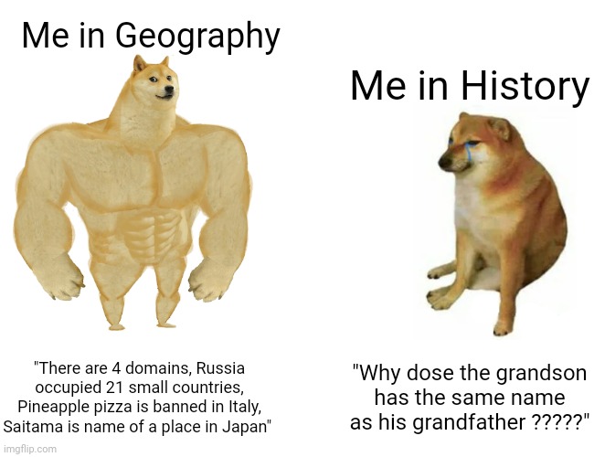 Hvhi7yjybfhytcvytu ivutffbutiniutfihft | Me in Geography; Me in History; "There are 4 domains, Russia occupied 21 small countries, Pineapple pizza is banned in Italy, Saitama is name of a place in Japan"; "Why dose the grandson has the same name as his grandfather ?????" | image tagged in memes,buff doge vs cheems | made w/ Imgflip meme maker