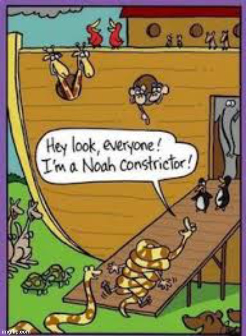 Lol | image tagged in comics/cartoons,funny,puns,bible,noah's ark | made w/ Imgflip meme maker