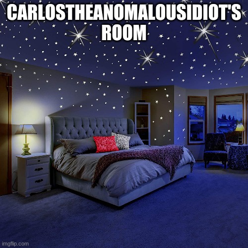 CARLOSTHEANOMALOUSIDIOT'S ROOM | made w/ Imgflip meme maker