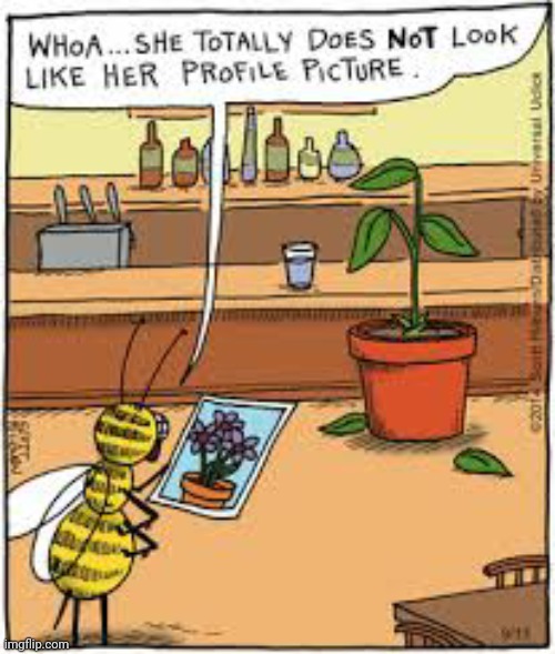 Plants never look as advertised. | image tagged in comics/cartoons,funny,plants,so true memes | made w/ Imgflip meme maker