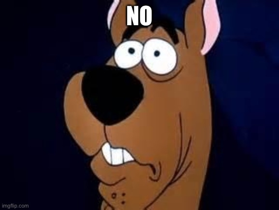 Scooby Doo Surprised | NO | image tagged in scooby doo surprised | made w/ Imgflip meme maker