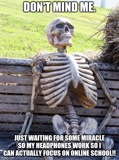 Anyone have ANY suggestions, at ALL???? | DON'T MIND ME. JUST WAITING FOR SOME MIRACLE SO MY HEADPHONES WORK SO I CAN ACTUALLY FOCUS ON ONLINE SCHOOL!! | image tagged in memes,waiting skeleton | made w/ Imgflip meme maker