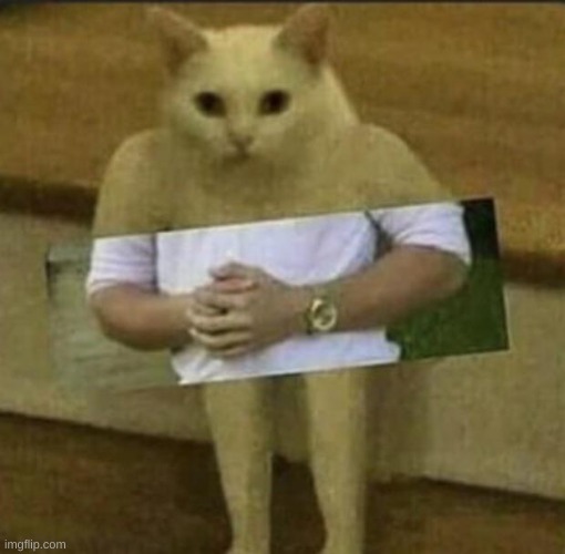 my friends sent me this | made w/ Imgflip meme maker