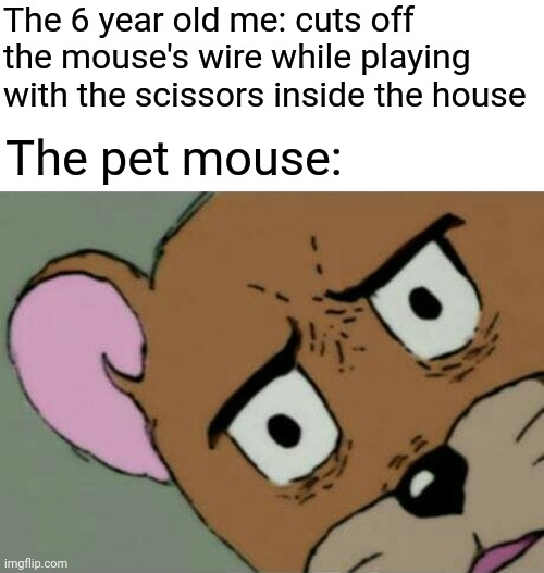 Cuts off the computer mouse's wire | The 6 year old me: cuts off the mouse's wire while playing with the scissors inside the house; The pet mouse: | image tagged in unsettled jerry,unsettled tom,funny,memes,blank white template,mouse | made w/ Imgflip meme maker