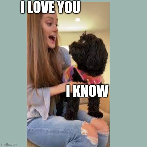 Love is STRONG! | I LOVE YOU; I KNOW | image tagged in dogs,tiktok,aunt,i love you | made w/ Imgflip meme maker