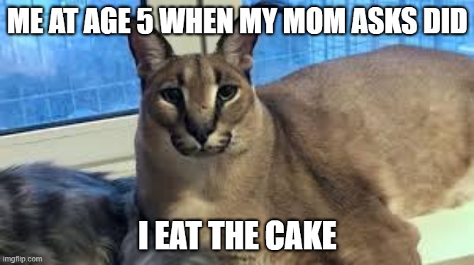 Floppa | ME AT AGE 5 WHEN MY MOM ASKS DID; I EAT THE CAKE | image tagged in floppa | made w/ Imgflip meme maker