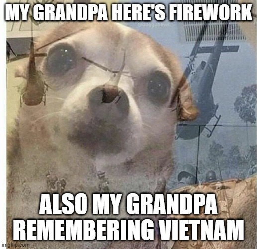 EE | MY GRANDPA HERE'S FIREWORK; ALSO MY GRANDPA REMEMBERING VIETNAM | image tagged in ptsd chihuahua | made w/ Imgflip meme maker