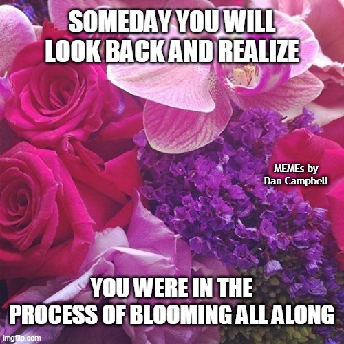 Flowers | SOMEDAY YOU WILL LOOK BACK AND REALIZE; MEMEs by Dan Campbell; YOU WERE IN THE PROCESS OF BLOOMING ALL ALONG | image tagged in flowers | made w/ Imgflip meme maker