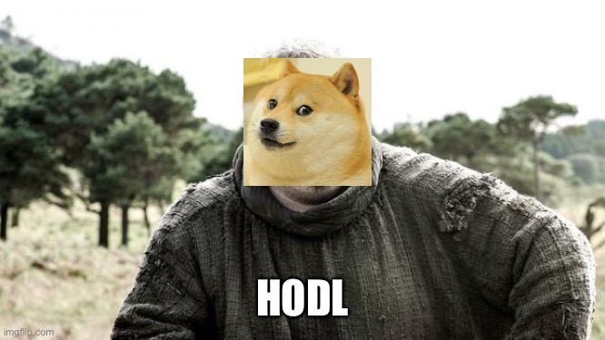 Hodor | HODL | image tagged in hodor,dogecoin | made w/ Imgflip meme maker