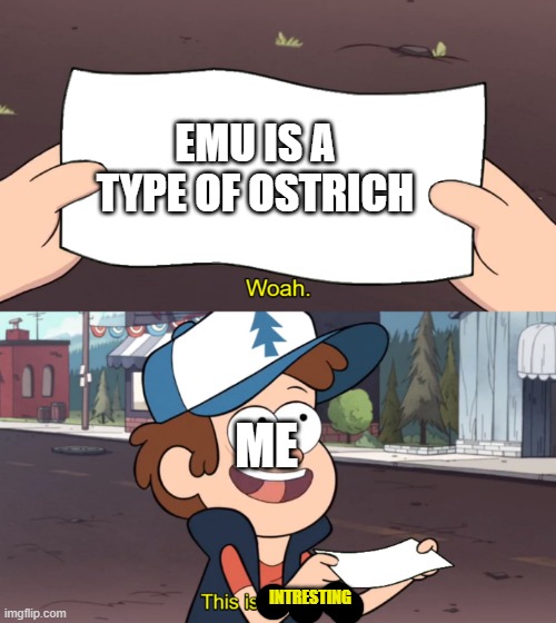 This is Worthless | EMU IS A TYPE OF OSTRICH ME INTRESTING | image tagged in this is worthless | made w/ Imgflip meme maker