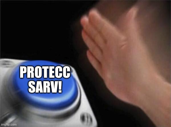 Blank Nut Button Meme | PROTECC SARV! | image tagged in memes,blank nut button | made w/ Imgflip meme maker