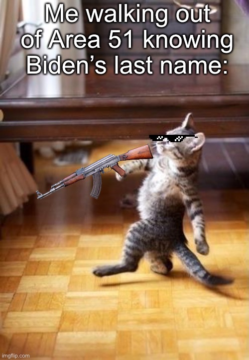 But seriously, what is it? | Me walking out of Area 51 knowing Biden’s last name: | image tagged in memes,cool cat stroll | made w/ Imgflip meme maker